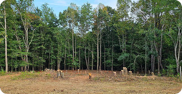 Land Clearing