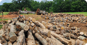 Lot Clearing