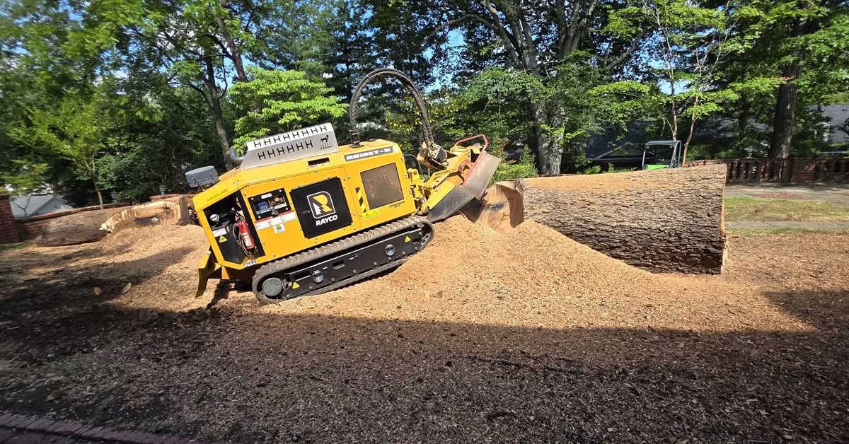 stump removal and grinding